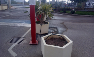 Cambio de plantas en las jardineras acceso a las instalaciones de Rijk Zwaan, en carretera del Mami