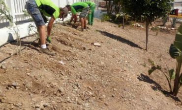 Nos adjudican el servicio de mantenimiento y adecuación de la jardinería y autorización del sistema de riego en el Puerto deportivo de Aguadulce. Seguimos creciendo