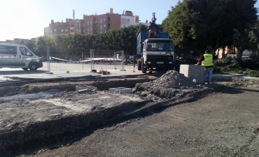 Preparando estos ejemplares de ficus para su trasplante