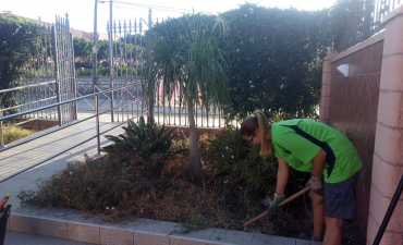 Trabajos de limpieza y adecuación de jardineras entrada a negocio Caprichos Estilistas