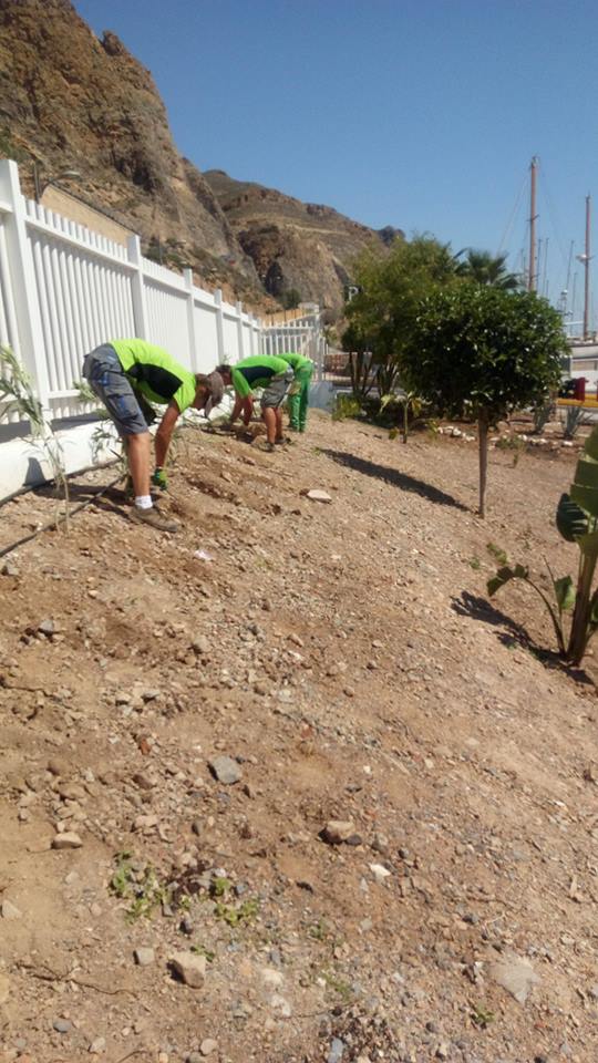 Nos adjudican el servicio de mantenimiento y adecuación de la jardinería y autorización del sistema de riego en el Puerto deportivo de Aguadulce. Seguimos creciendo